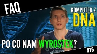 Po co nam wyrostek i czy można zbudować komputer z DNA  FAQ 16 [upl. by Boar]