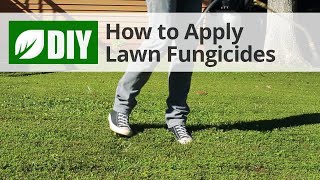 How to Use Lawn Fungicides For A Lawn Fungus Treatment [upl. by Einhpad]