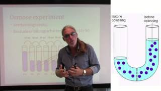 Osmose turgor plasmolyse grensplasmolyse [upl. by Kenay452]