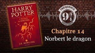 Norbert le dragon Harry Potter 1 chapitre 14 [upl. by Jansson]