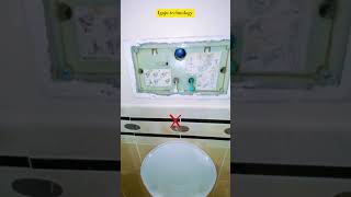 Geberit toilet fill valve trick to stop water leaking continuously youtubeshortsgeberitsubscribe [upl. by Novets]