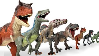 GIANT Haul of the BEST Jurassic World Carnivores  TRex Indominus Rex Velociraptor and More [upl. by Soren450]