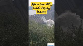 శ్రీశైలం Dam గేట్స్ ఓపెన్ చేస్తున్న వీడియో srisailam dam gates open srisailam nallamalla travel [upl. by Linnie]