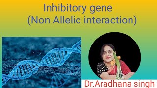 Inhibitory gene Non Allelic interaction [upl. by Ahtnamys]