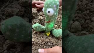 Cactus🌵me dost🥲ko kya ho gaya🥲🥹🤨shortsvideo [upl. by Acile108]