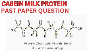 CASEIN MILK PROTEIN [upl. by Sreip]