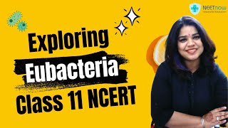 Eubacteria explained  Class 11 NCERT Biology [upl. by Isleen]