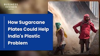 How Plates Made From Sugarcane Could Help Indias Plastic Problem  World Wide Waste [upl. by Zurn780]