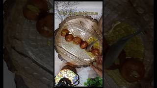 Suji ke perfect gulabjamun🫰😋😋 Recipelessspicykitchen ytshorts viral trending cookingvedio [upl. by Sucramrej]