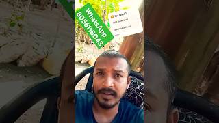 How To Increase Long Videos Watch Hours Increase Tamil  selvatech shortsfeed [upl. by Iidnarb]