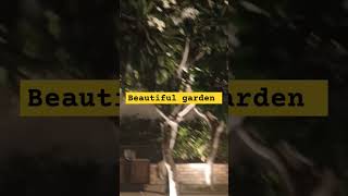 Dayal Bagh garden dayalbagh bagicha shorts ytshorts [upl. by Antonetta]