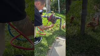 Backflow Test  Plumbing Clip [upl. by Najram]