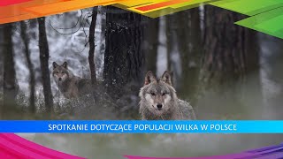 Populacja Wilka w Polsce [upl. by Eisso715]