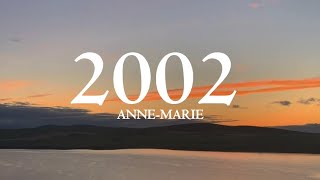 AnneMarie  2002 Lyrics [upl. by Sheri562]