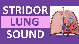 Stridor Sound Breathing Sounds Abnormal Lung Sounds [upl. by Deeraf]