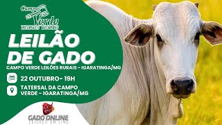 🌟LEILÃO DE GADO CAMPO VERDE LEILÕES  IGARATINGAMG🎥 [upl. by Jaquiss]