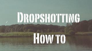 How To Rig a Dropshot Worm One of the most effective rigs [upl. by Oicnanev]