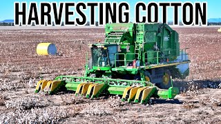 Cotton Harvest BEGINS  Australian Cotton  Vlog 284 [upl. by Metabel343]