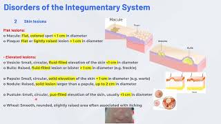 Medical Terminology  The Integumentary System [upl. by Payne]