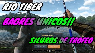 ⭐️RIO TIBER BAGRE UNICO Y SILURO DE TROFEO varios spots ⭐️🐋  fishing planet  gameplay español [upl. by Ralph]