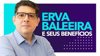 Como usar a ERVA BALEEIRA  Dr Juliano Teles [upl. by Innos]