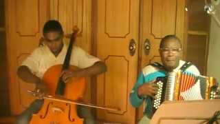 Piatti 3 cello and diatonic accordion [upl. by Oaoj581]