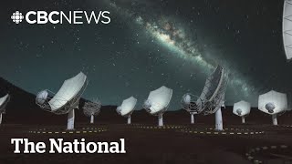 Astronomers warn too many satellites could block our view of the universe [upl. by Ramedlav819]