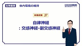 【生物基礎】 体内環境の維持37 自律神経：交感神経・副交感神経 （１８分） [upl. by Arlyn327]