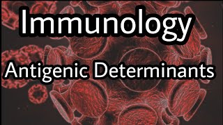 ANTIGENIC DETERMINANTS How Your Immune System Knows Whos Boss [upl. by Wiener]