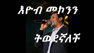 Eyob Mekonenn ትወደኛለች lyrics videos [upl. by Yllaw764]