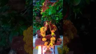 De tulsi maiya varadan itna hindi song🙏🙏 [upl. by Jolee]