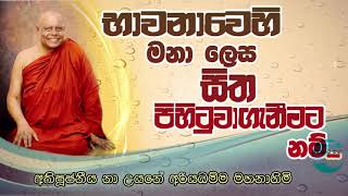 භාවනාවෙහි මනා ලෙස සිත පිහිටුවාගැනීමට නම් [upl. by Tadeas]