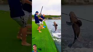 Village Traditional Bamboo Tools Polo Fishing Video Part300 fishingshorts​ fishing​ shorts [upl. by Trilly]