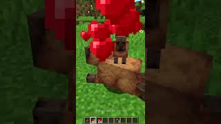 Mod para Tener Capybaras en tu Minecraft shorts minecraft [upl. by Ettennad]