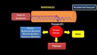 Minerales Yodo [upl. by Adlin59]