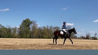 The Retired Racehorse Projects Thoroughbred Makeover [upl. by Koziarz]