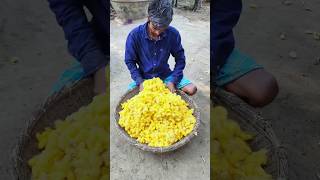 Silk Threads Making Process [upl. by Dorraj936]