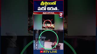 శ్రీశైలంలో మరో చిరుత సంచారం  Cheetah Hulchul At Srisailam Bus Stand  RtvLive [upl. by Kirtley346]