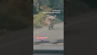 Khatarnak bike rider☠️👿 menuishqhogayaakhiyannaal [upl. by Aber]