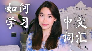 How to Learn Chinese Faster and Smarter [upl. by Analim]