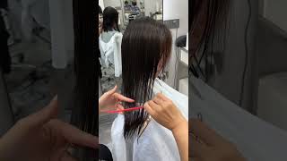 Mastering the Collarbone Haircut Hair step Cutting Styling Tutorial for Beginners hairgurudiaries [upl. by Yrian]