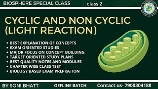 CYCLIC AND NON CYCLIC PHOTO RESPIRATION  LIGHT REACTION PLANT PHYSIOLOGY biology neet class11 [upl. by Dlabihcra]