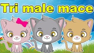 Tri male mace  Pesmica za decu  Pesma o životinjama  Životinje za decu  Three Little Kittens [upl. by Broddy]