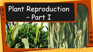 Science  Plant Reproduction and Growth  English [upl. by Tess723]