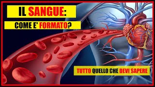 Il Sangue Cosè e da quali cellule è composto Globuli rossi bianchi piastrine e il plasma [upl. by Benedicta]