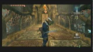 Legend of Zelda Twilight Princess Walkthrough 10 16 quotLakebed Temple Lower Westquot [upl. by Alley235]