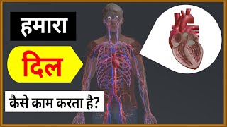 हमारा दिल कैसे काम करता है  How does our Heart work  3D Animation 🔥🔥🔥 [upl. by Cyna]