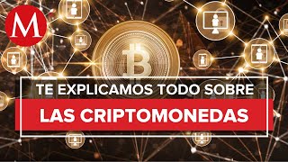 ¿Qué es una criptomoneda y cómo funciona [upl. by Albright593]