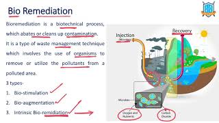 What is Bioremediation   Bioremediation అంటే ఏమిటి  La Excellence [upl. by Eekaz]