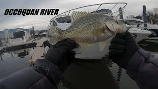 Winter Crappie Fishing on the Occoquan River [upl. by Runkel]